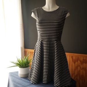 Gap Black and Gray Skater Dress